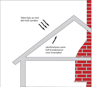 Trygghetsvakten